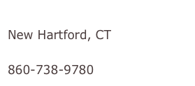 Kate Lynch
New Hartford, CT
Lynch.Kate1@gmail.com
860-738-9780